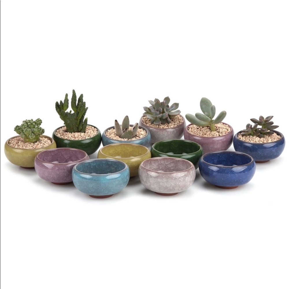 Succulent pots Plant Pots